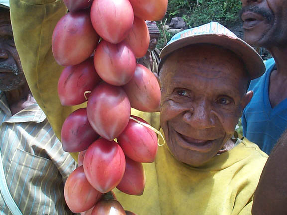 man with tamarillos