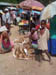 Kundiawa market kids