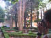 Gardens with Mark