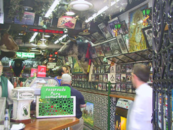 Bull bar