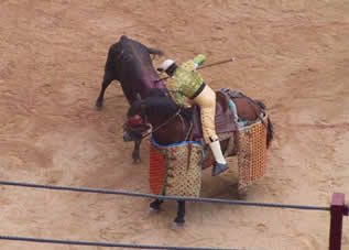 Horseman wearing down bull