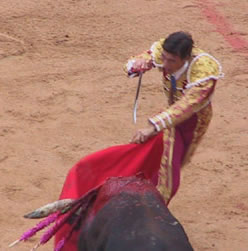 Matador aiming sword2