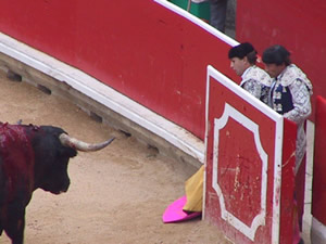 Matador cowards