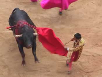 Matador getting out of way