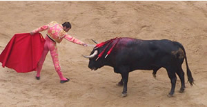 Sword going into bull