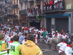 b_My only bull shot