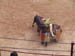Horseman wearing down bull