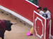 Matador cowards