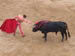 Sword going into bull