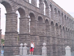 Sergovia aqueduct Rob