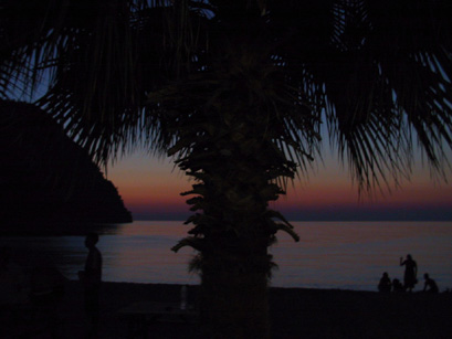 Night view through trees