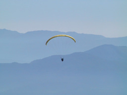 Paragliding- best2