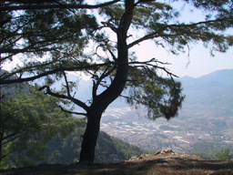 Mountain view from top