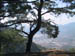 Mountain view from top