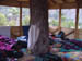 Inside tree house