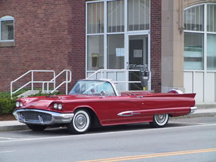 Mint T Bird 1
