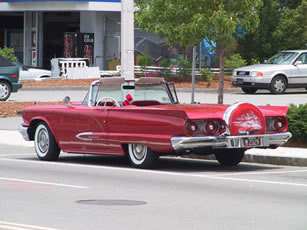 Mint T Bird 2