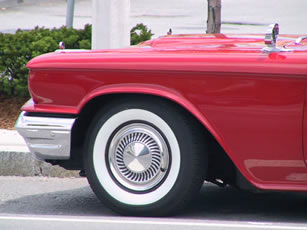 Mint T Bird 3