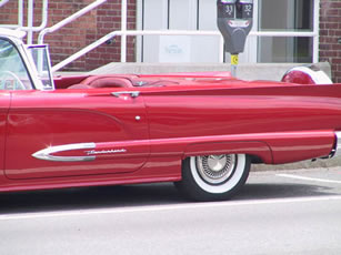 Mint T Bird 4