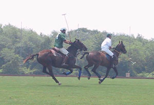 Galloping
