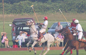 Horse rearing