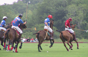Polo action