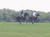 Galloping