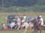 Horse rearing