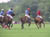 Polo action