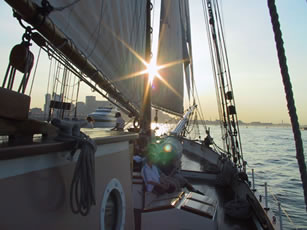 Sun through sail Liberty