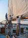 Liberty Clipper sails