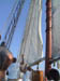 Liberty Clipper sweating