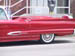 Mint T Bird 4