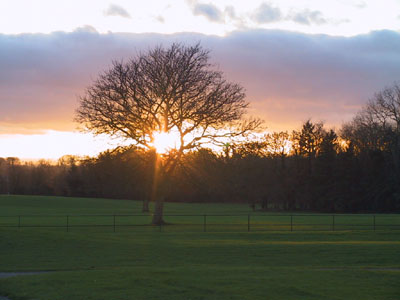Sunset