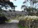 Road out of Eskdale Mill