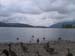 Grassmere ducks