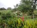 Beatrix Potter's Garden2