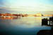 Looking over Boston's water